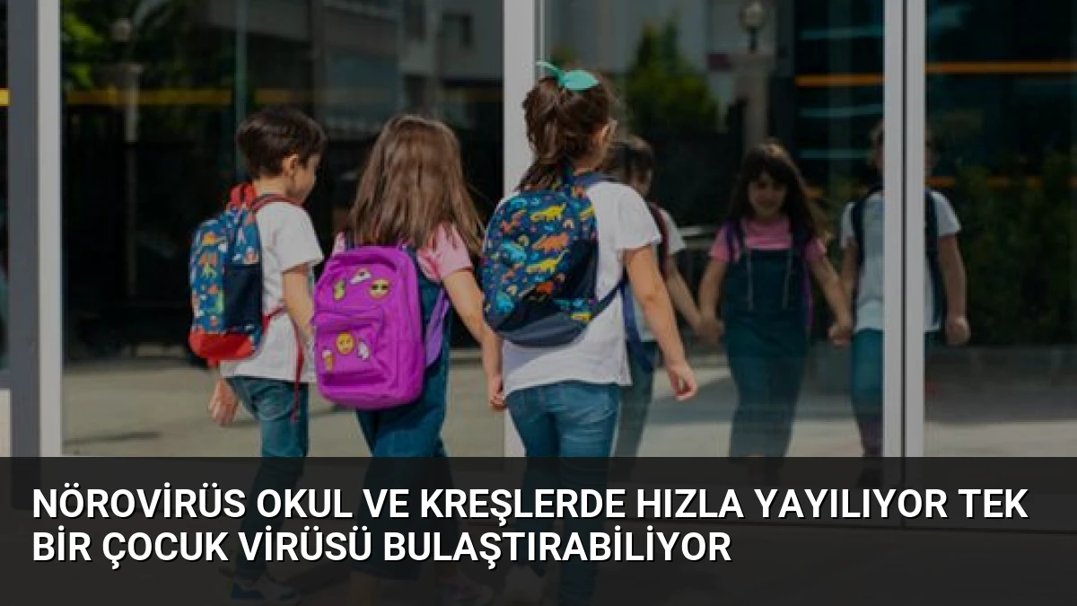 Nörovirüs Okul ve Kreşlerde Hızla Yayılıyor Tek Bir Çocuk Virüsü Bulaştırabiliyor