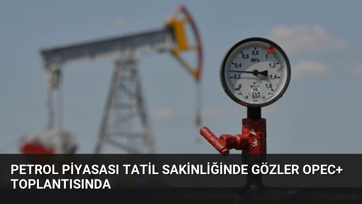Petrol Piyasası Tatil Sakinliğinde Gözler OPEC+ Toplantısında