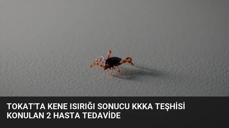 Tokat’ta Kene Isırığı Sonucu KKKA Teşhisi Konulan 2 Hasta Tedavide