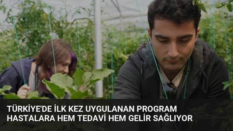 Türkiye’de İlk Kez Uygulanan Program Hastalara Hem Tedavi Hem Gelir Sağlıyor