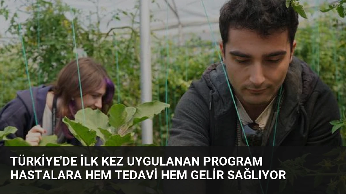 Türkiye’de İlk Kez Uygulanan Program Hastalara Hem Tedavi Hem Gelir Sağlıyor