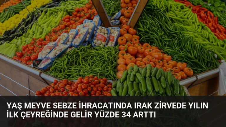Yaş Meyve Sebze İhracatında Irak Zirvede Yılın İlk Çeyreğinde Gelir Yüzde 34 Arttı