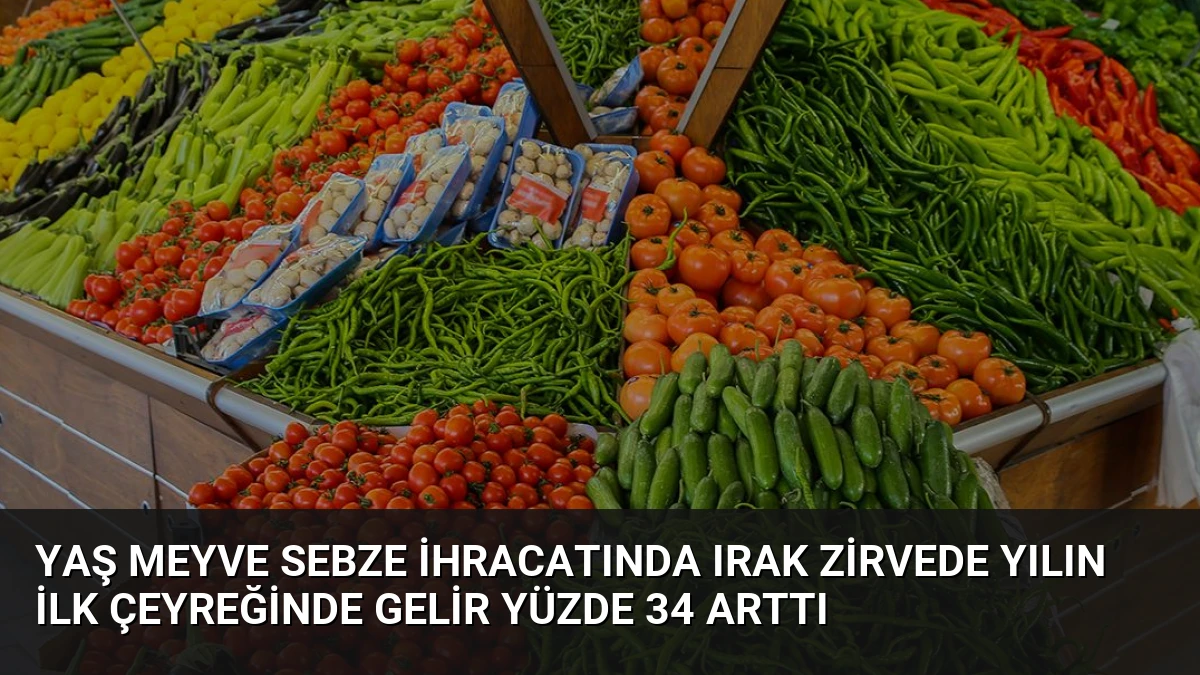 Yaş Meyve Sebze İhracatında Irak Zirvede Yılın İlk Çeyreğinde Gelir Yüzde 34 Arttı