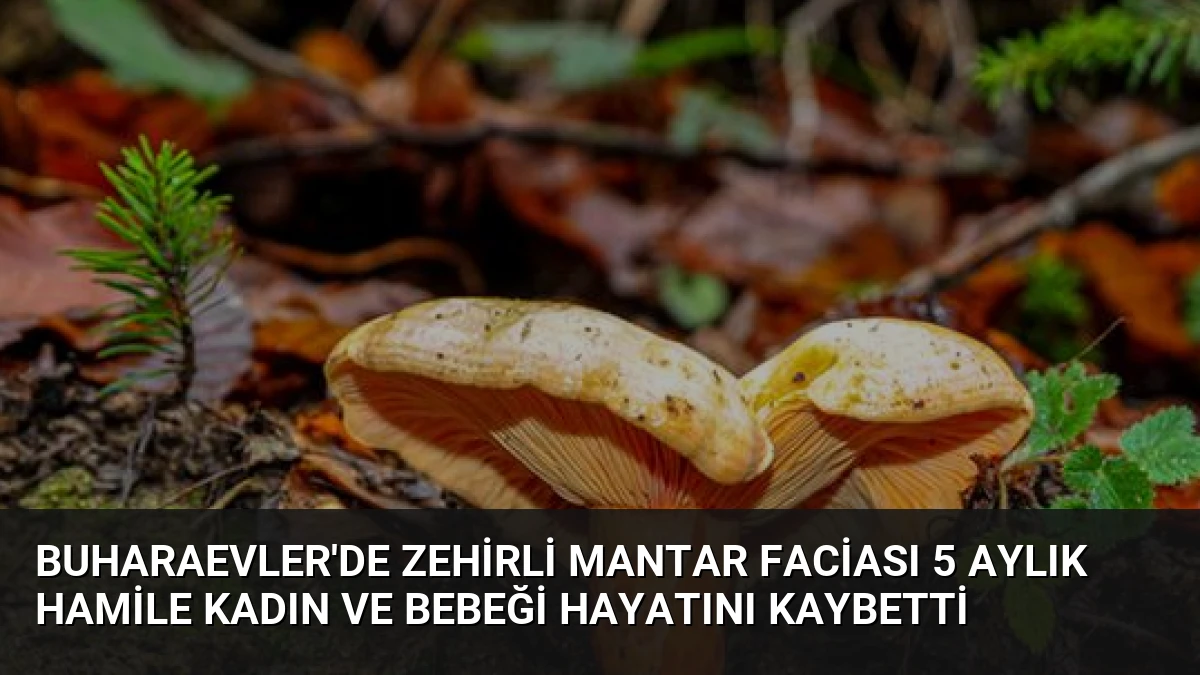 Buharaevler’de Zehirli Mantar Faciası 5 Aylık Hamile Kadın ve Bebeği Hayatını Kaybetti