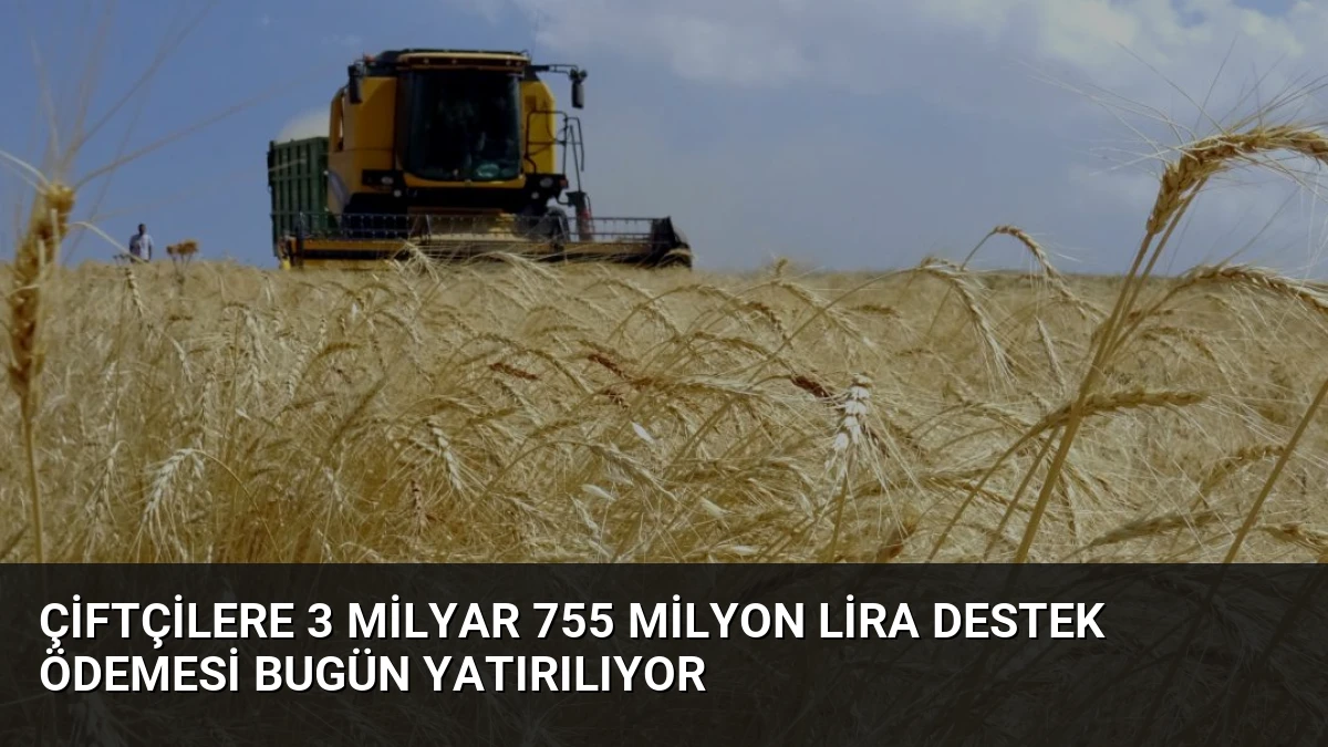 Çiftçilere 3 Milyar 755 Milyon Lira Destek Ödemesi Bugün Yatırılıyor