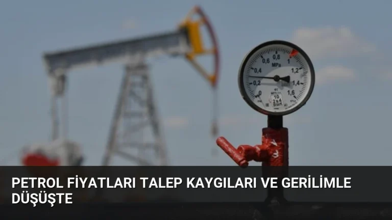 Petrol Fiyatları Talep Kaygıları ve Gerilimle Düşüşte