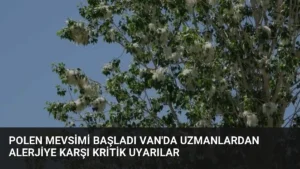 Polen Mevsimi Başladı Van’da Uzmanlardan Alerjiye Karşı Kritik Uyarılar