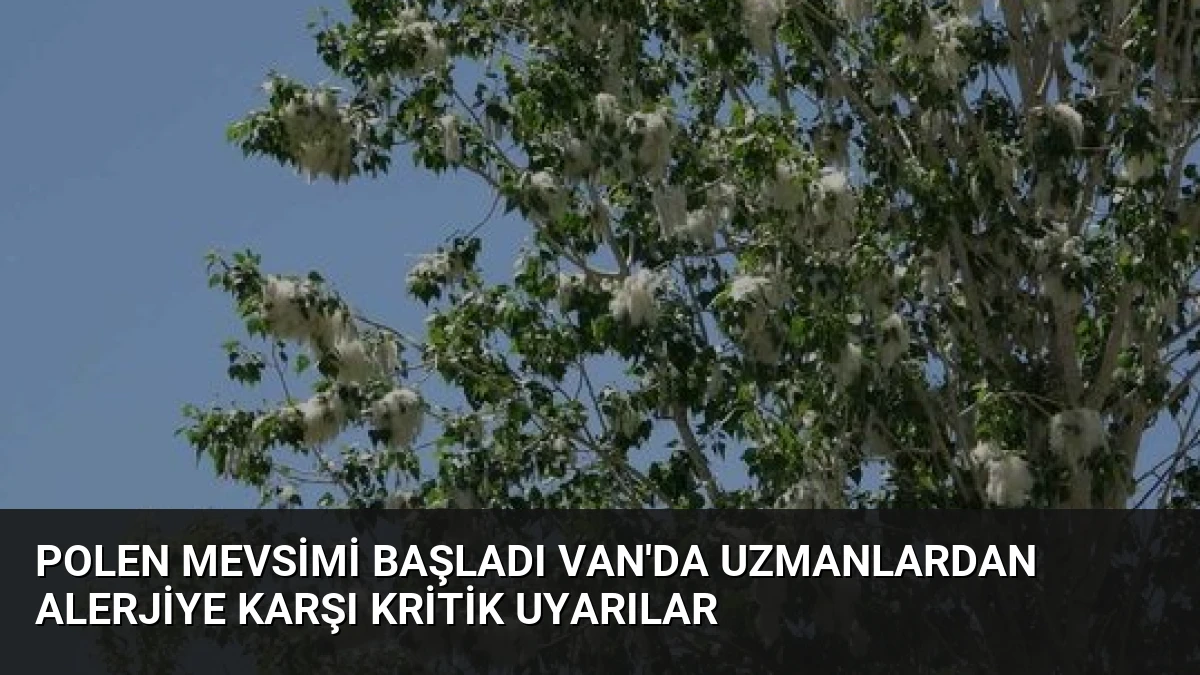 Polen Mevsimi Başladı Van’da Uzmanlardan Alerjiye Karşı Kritik Uyarılar