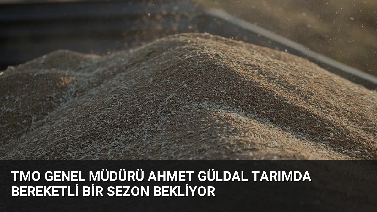 TMO Genel Müdürü Ahmet Güldal Tarımda Bereketli Bir Sezon Bekliyor