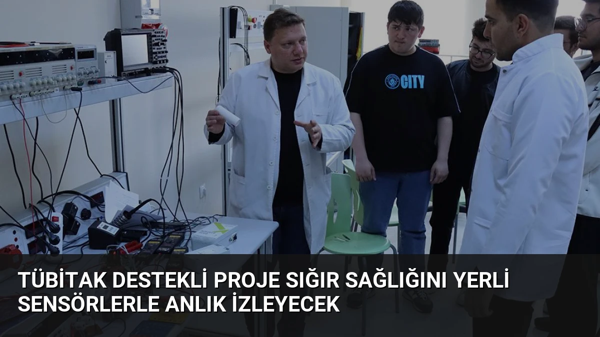 TÜBİTAK Destekli Proje Sığır Sağlığını Yerli Sensörlerle Anlık İzleyecek