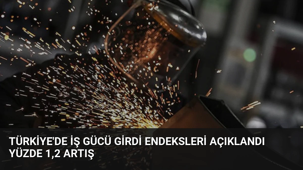 Türkiye’de İş Gücü Girdi Endeksleri Açıklandı Yüzde 1,2 Artış