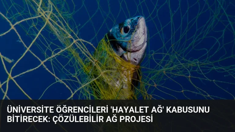 Üniversite Öğrencileri ‘Hayalet Ağ’ Kabusunu Bitirecek: Çözülebilir Ağ Projesi