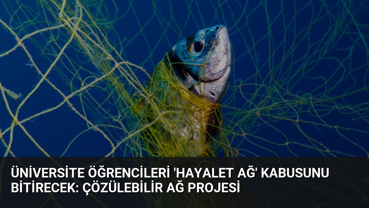 Üniversite Öğrencileri ‘Hayalet Ağ’ Kabusunu Bitirecek: Çözülebilir Ağ Projesi