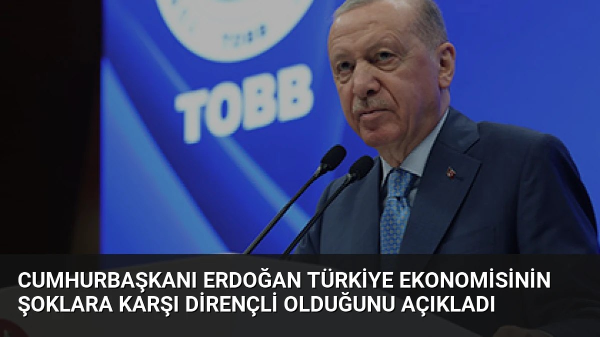 Cumhurbaşkanı Erdoğan Türkiye ekonomisinin şoklara karşı dirençli olduğunu açıkladı