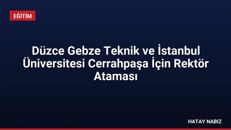 Düzce Gebze Teknik ve İstanbul Üniversitesi Cerrahpaşa İçin Rektör Ataması