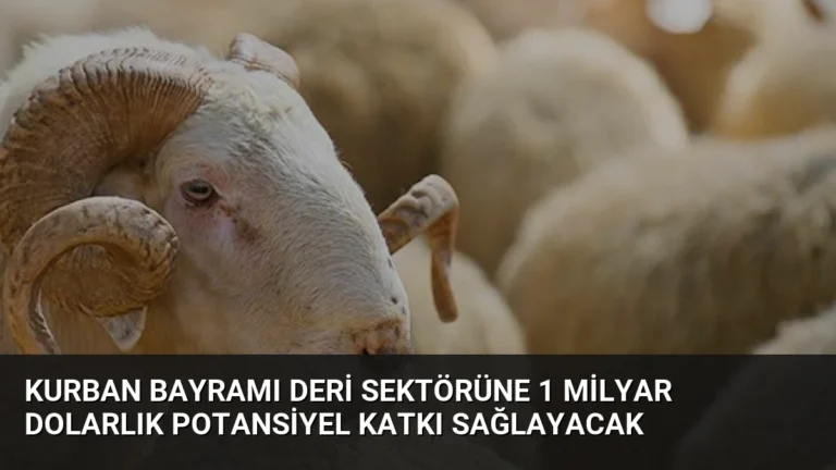 Kurban Bayramı Deri Sektörüne 1 Milyar Dolarlık Potansiyel Katkı Sağlayacak