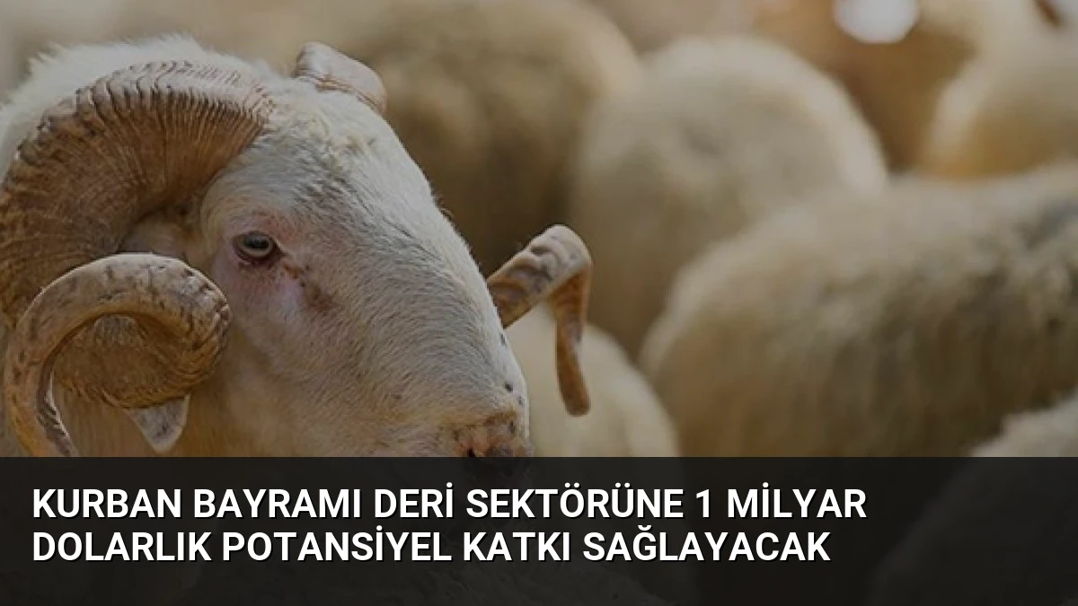 Kurban Bayramı Deri Sektörüne 1 Milyar Dolarlık Potansiyel Katkı Sağlayacak