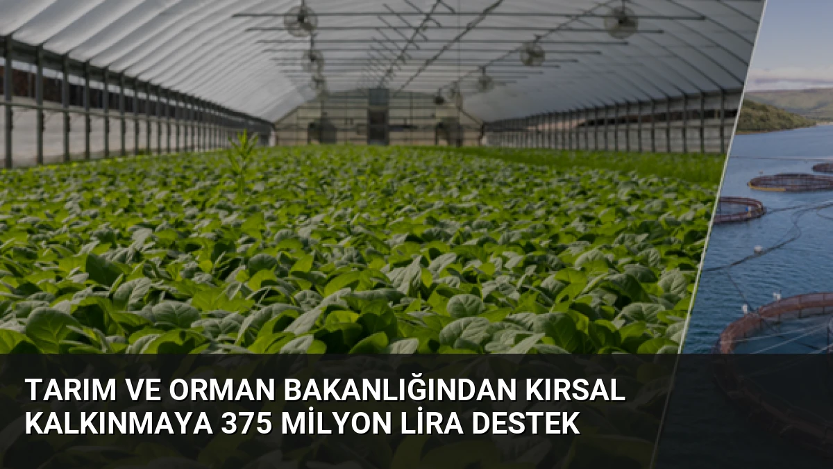 Tarım ve Orman Bakanlığından Kırsal Kalkınmaya 375 Milyon Lira Destek