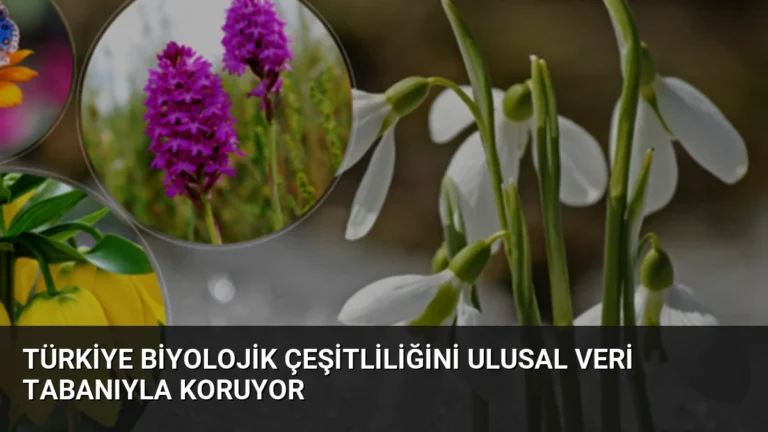 Türkiye Biyolojik Çeşitliliğini Ulusal Veri Tabanıyla Koruyor