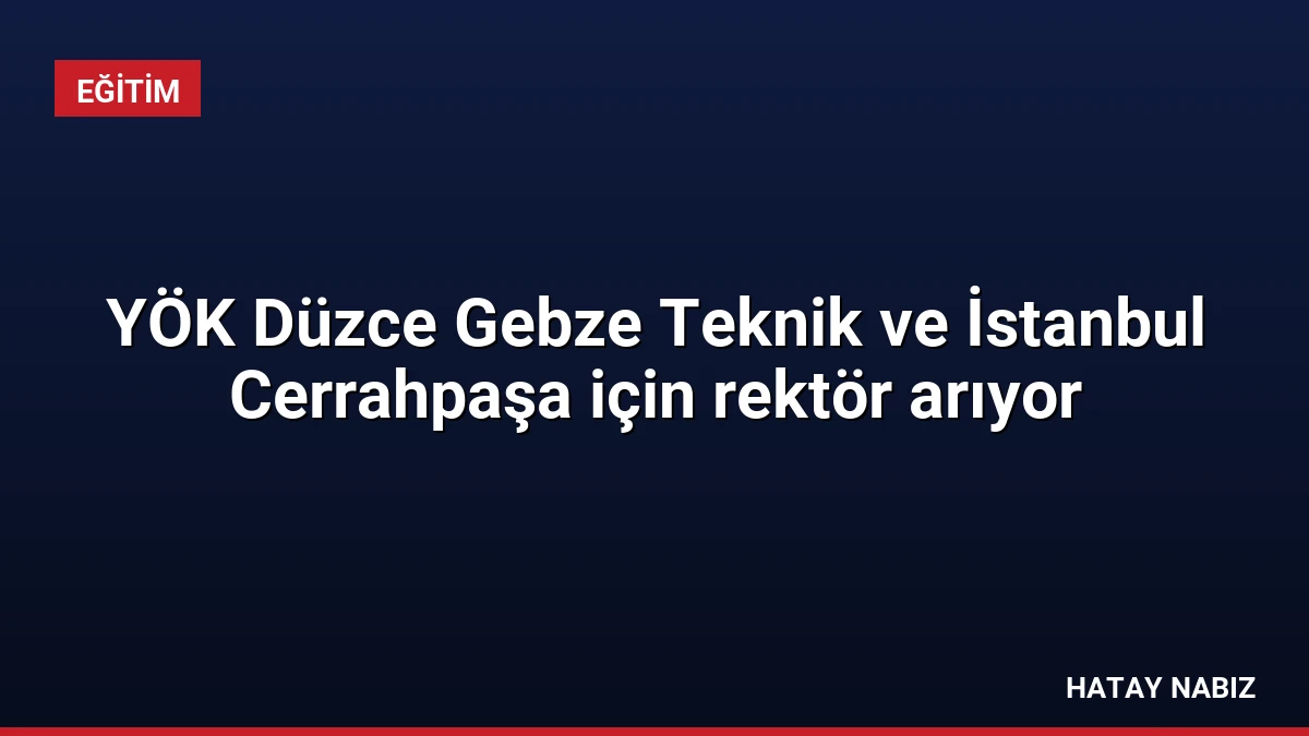 YÖK Düzce Gebze Teknik ve İstanbul Cerrahpaşa için rektör arıyor