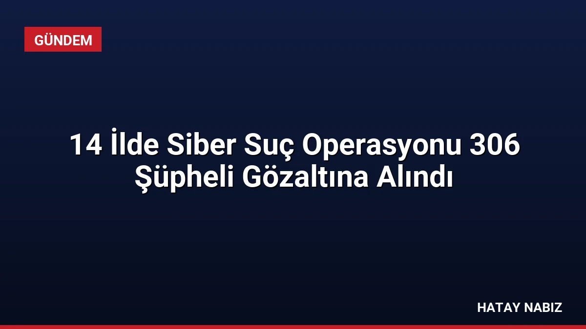 14 İlde Siber Suç Operasyonu 306 Şüpheli Gözaltına Alındı