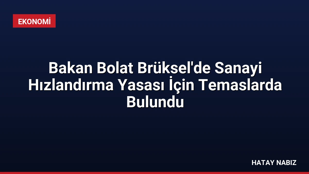 Bakan Bolat Brüksel’de Sanayi Hızlandırma Yasası İçin Temaslarda Bulundu