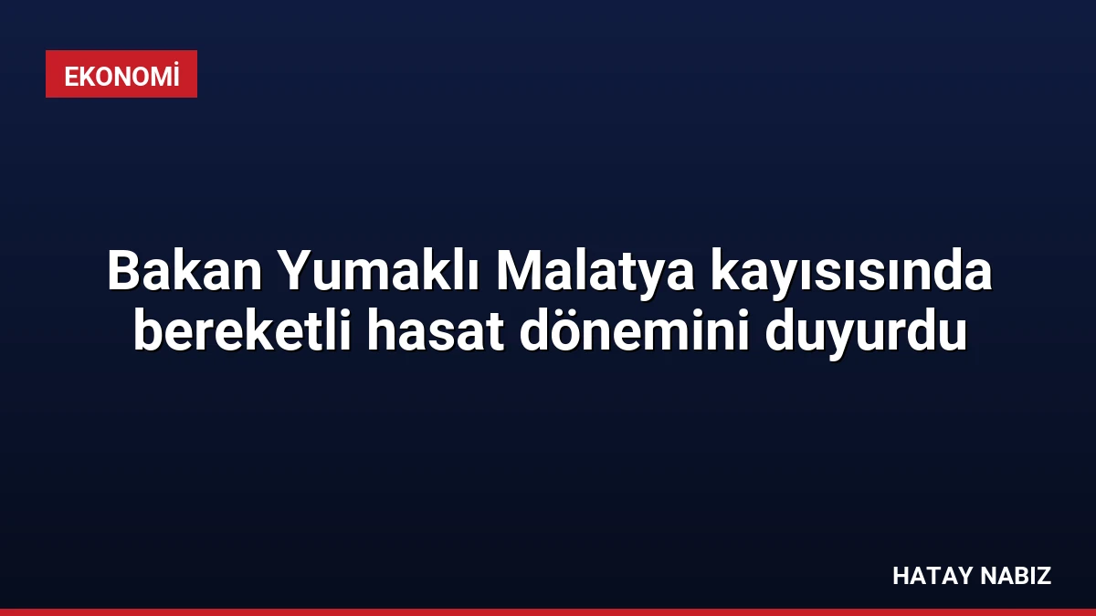 Bakan Yumaklı Malatya kayısısında bereketli hasat dönemini duyurdu