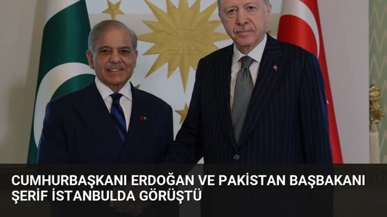 Cumhurbaşkanı Erdoğan ve Pakistan Başbakanı Şerif İstanbulda Görüştü