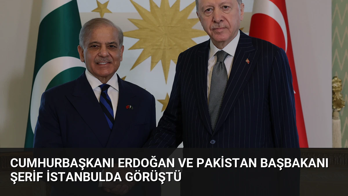 Cumhurbaşkanı Erdoğan ve Pakistan Başbakanı Şerif İstanbulda Görüştü