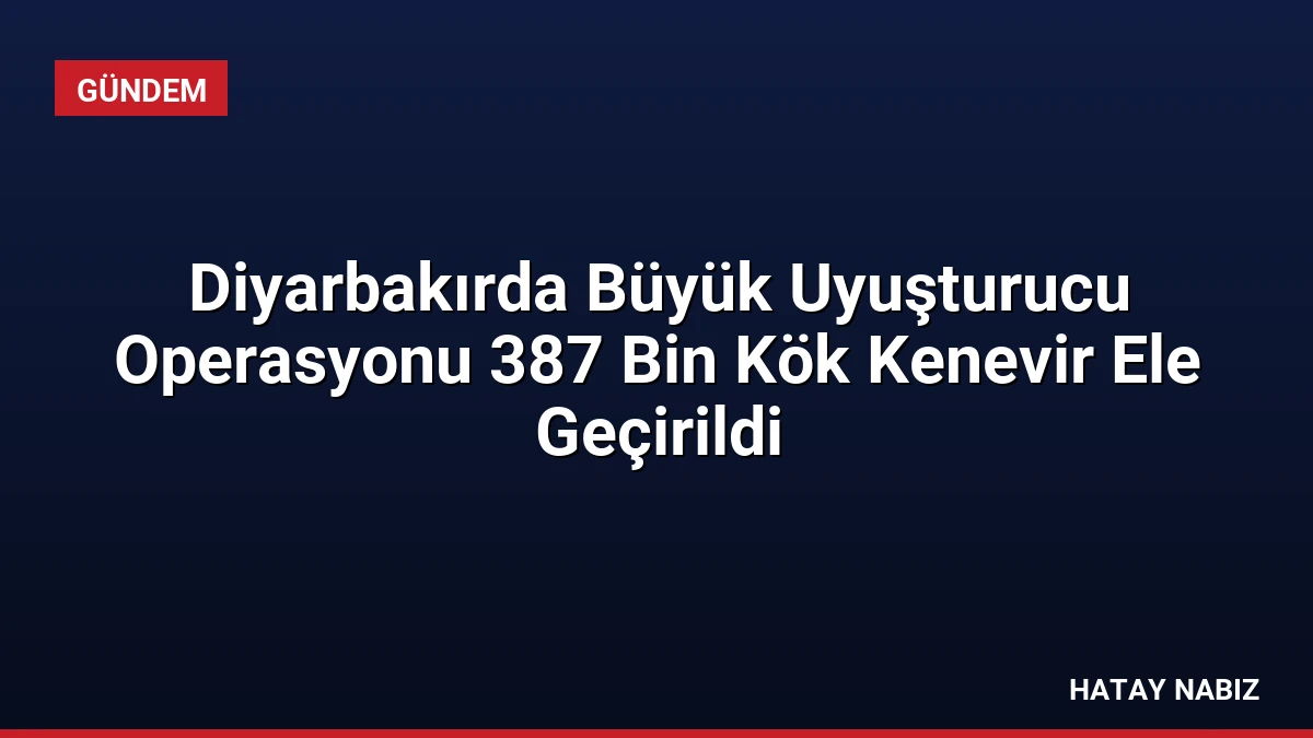 Diyarbakırda Büyük Uyuşturucu Operasyonu 387 Bin Kök Kenevir Ele Geçirildi