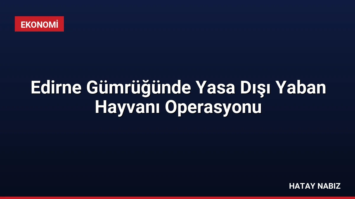 Edirne Gümrüğünde Yasa Dışı Yaban Hayvanı Operasyonu