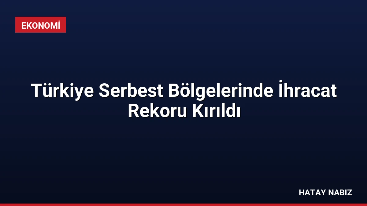 Türkiye Serbest Bölgelerinde İhracat Rekoru Kırıldı