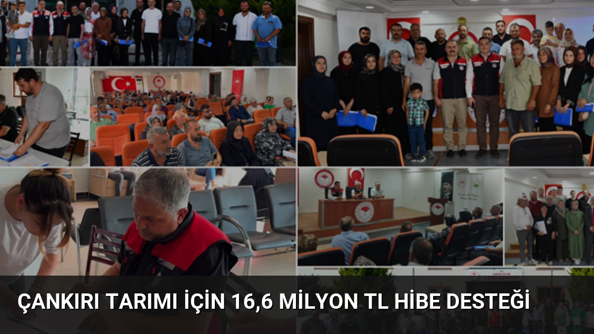 Çankırı Tarımı İçin 16,6 Milyon TL Hibe Desteği