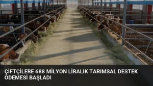 Çiftçilere 688 Milyon Liralık Tarımsal Destek Ödemesi Başladı