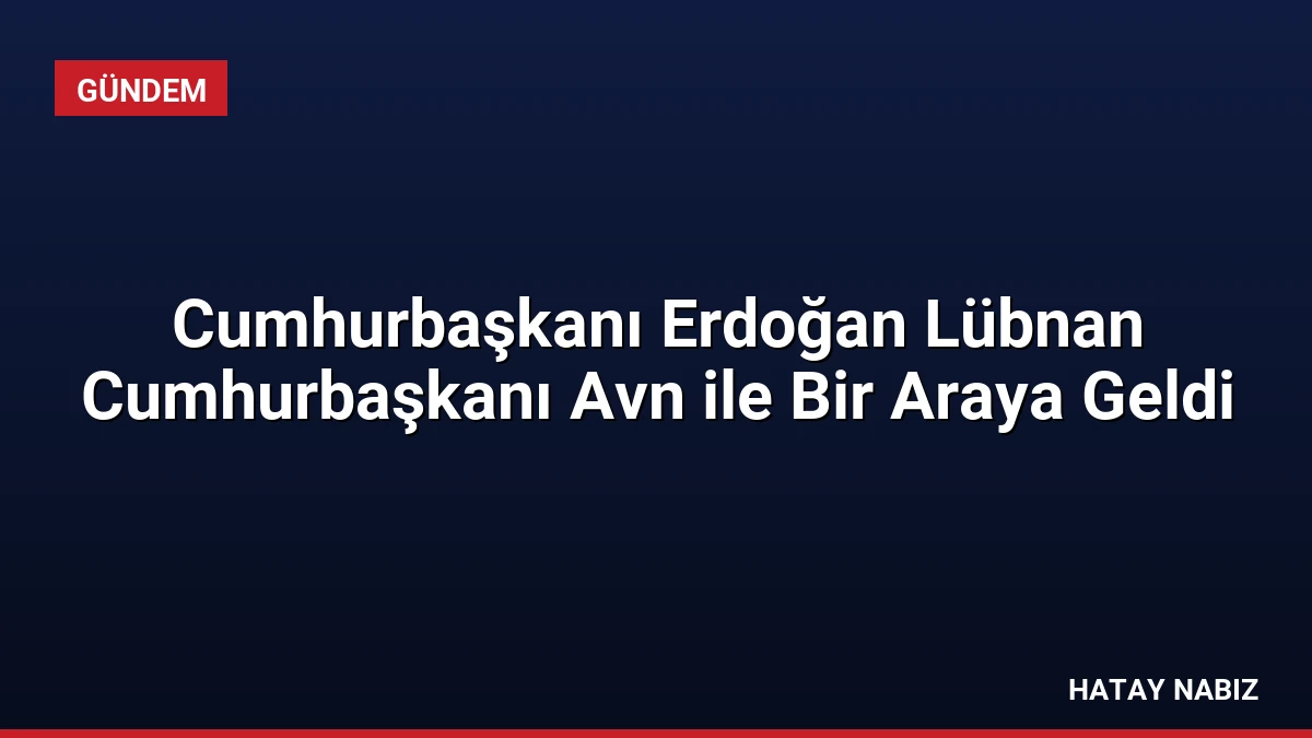 Cumhurbaşkanı Erdoğan Lübnan Cumhurbaşkanı Avn ile Bir Araya Geldi