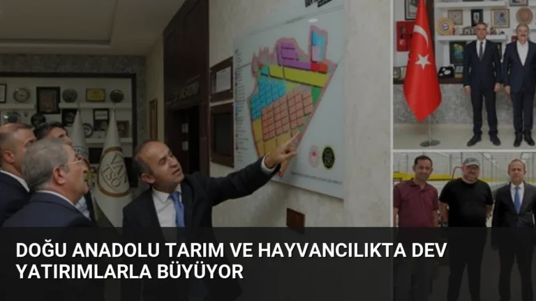 Doğu Anadolu Tarım ve Hayvancılıkta Dev Yatırımlarla Büyüyor