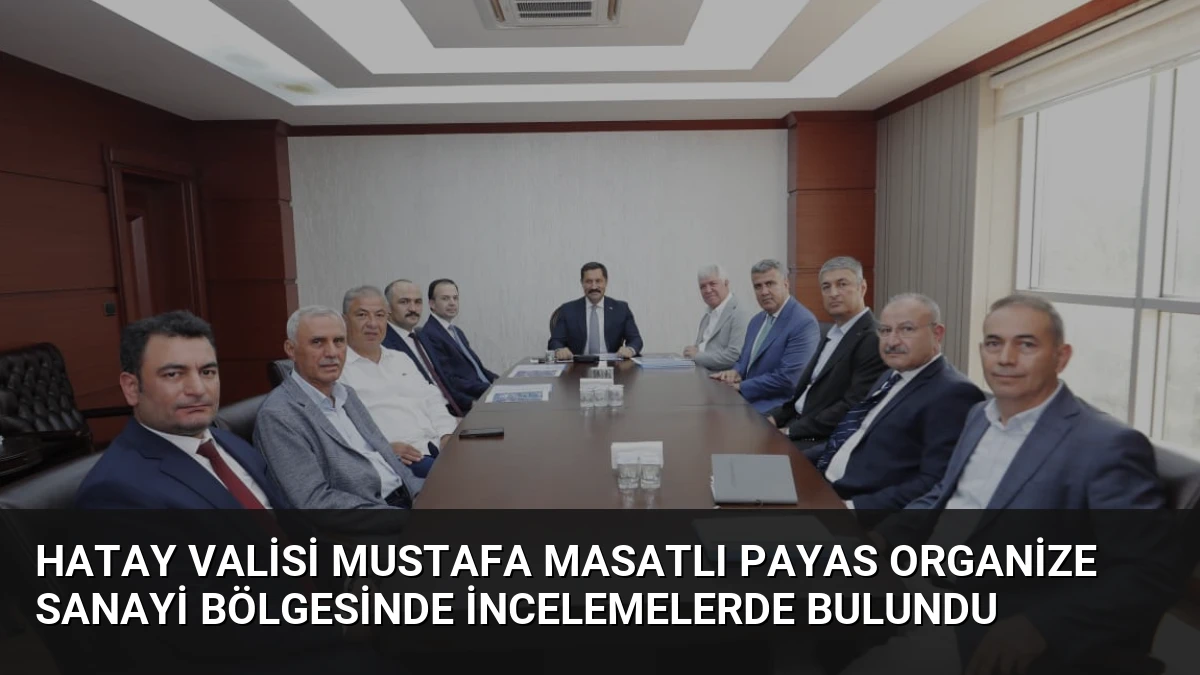 Hatay Valisi Mustafa Masatlı Payas Organize Sanayi Bölgesinde İncelemelerde Bulundu