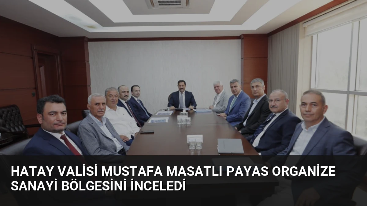 Hatay Valisi Mustafa Masatlı Payas Organize Sanayi Bölgesini İnceledi