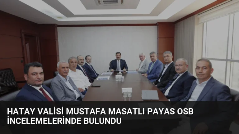 Hatay Valisi Mustafa Masatlı Payas OSB incelemelerinde bulundu