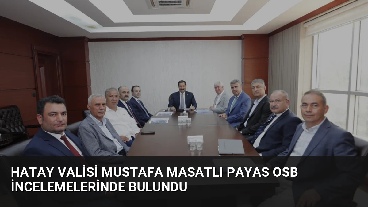 Hatay Valisi Mustafa Masatlı Payas OSB incelemelerinde bulundu
