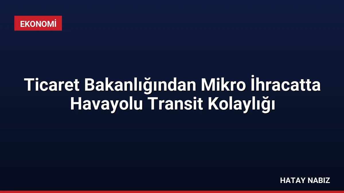 Ticaret Bakanlığından Mikro İhracatta Havayolu Transit Kolaylığı