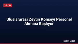 Uluslararası Zeytin Konseyi Personel Alımına Başlıyor
