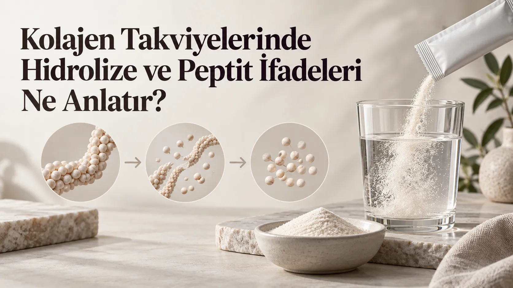 Kolajen Takviyelerinde Hidrolize ve Peptit İfadeleri Ne Anlatır?
