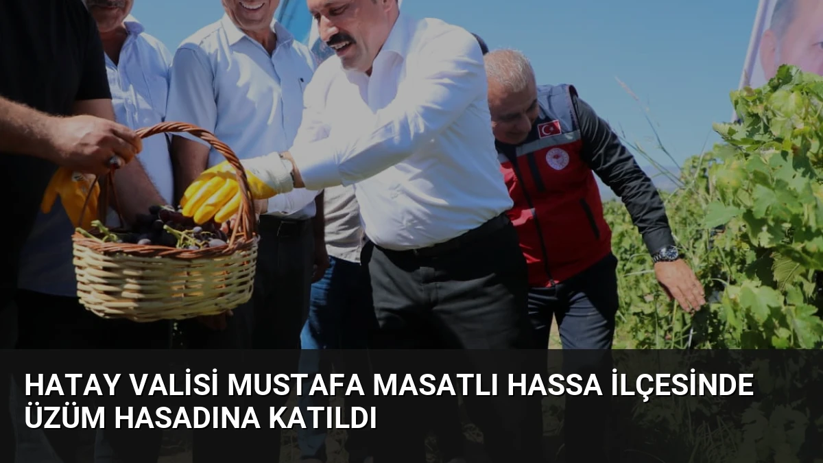 Hatay Valisi Mustafa Masatlı Hassa İlçesinde Üzüm Hasadına Katıldı