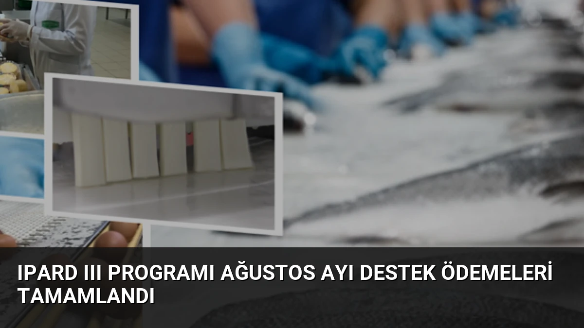 IPARD III Programı Ağustos Ayı Destek Ödemeleri Tamamlandı