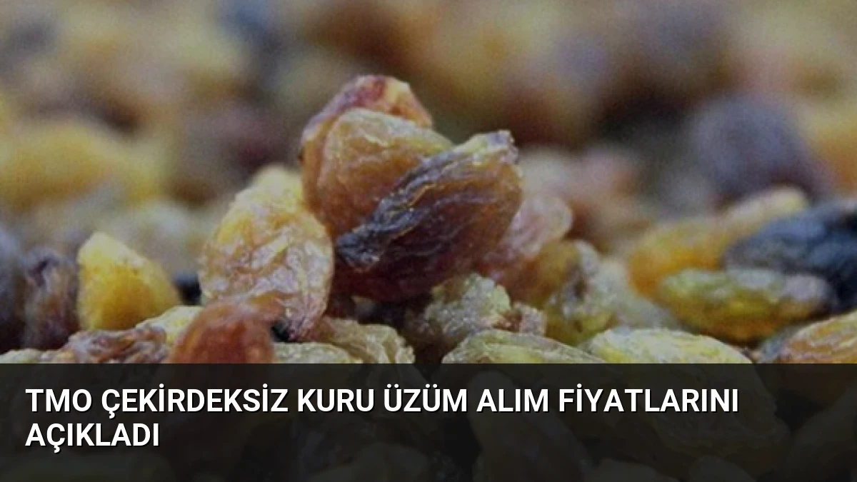 TMO Çekirdeksiz Kuru Üzüm Alım Fiyatlarını Açıkladı