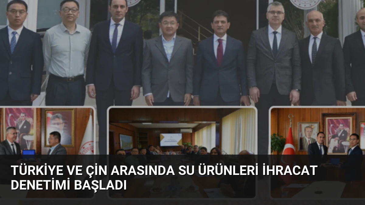 Türkiye ve Çin Arasında Su Ürünleri İhracat Denetimi Başladı