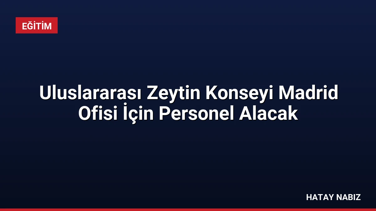 Uluslararası Zeytin Konseyi Madrid Ofisi İçin Personel Alacak