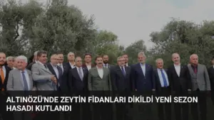 Altınözü’nde Zeytin Fidanları Dikildi Yeni Sezon Hasadı Kutlandı