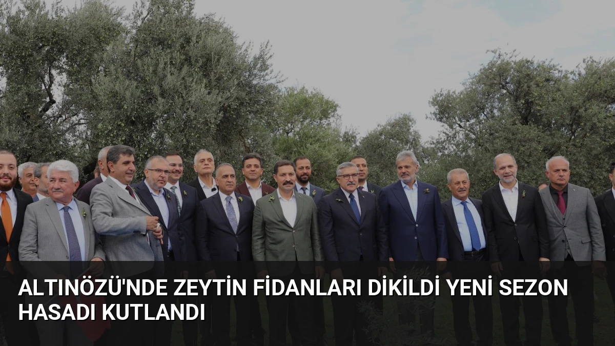 Altınözü’nde Zeytin Fidanları Dikildi Yeni Sezon Hasadı Kutlandı